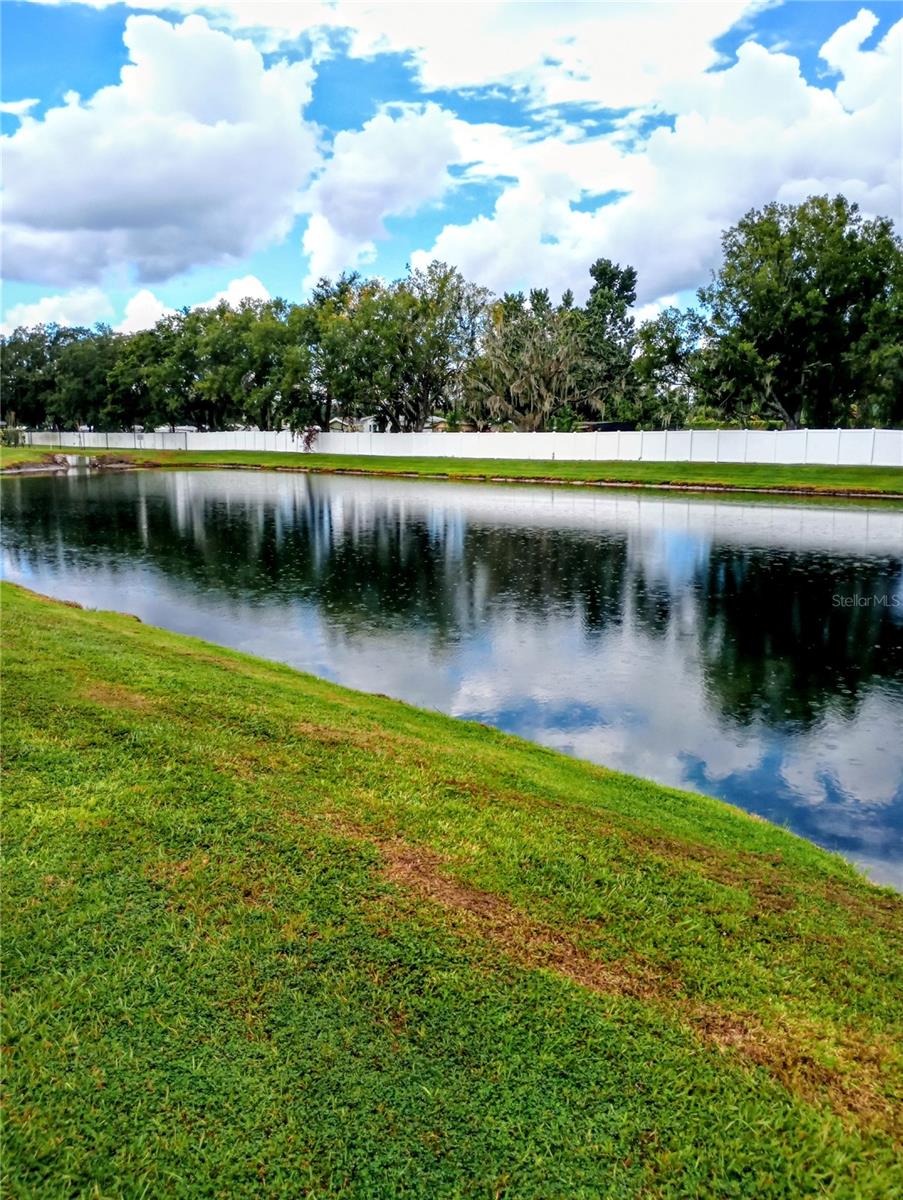 21415 DARTER RD, LAND O LAKES, FL, 34638