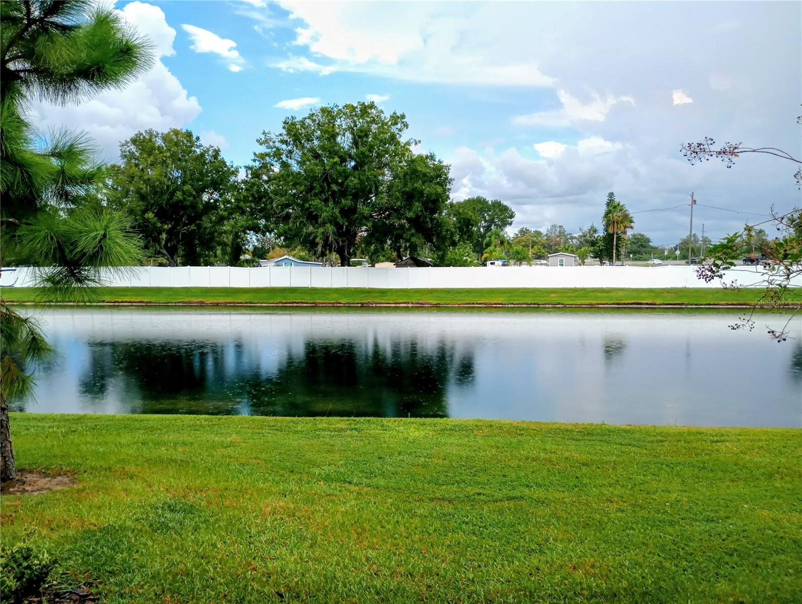 21415 DARTER RD, LAND O LAKES, FL, 34638