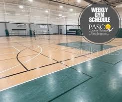 Indoor & Outdoor Basketball