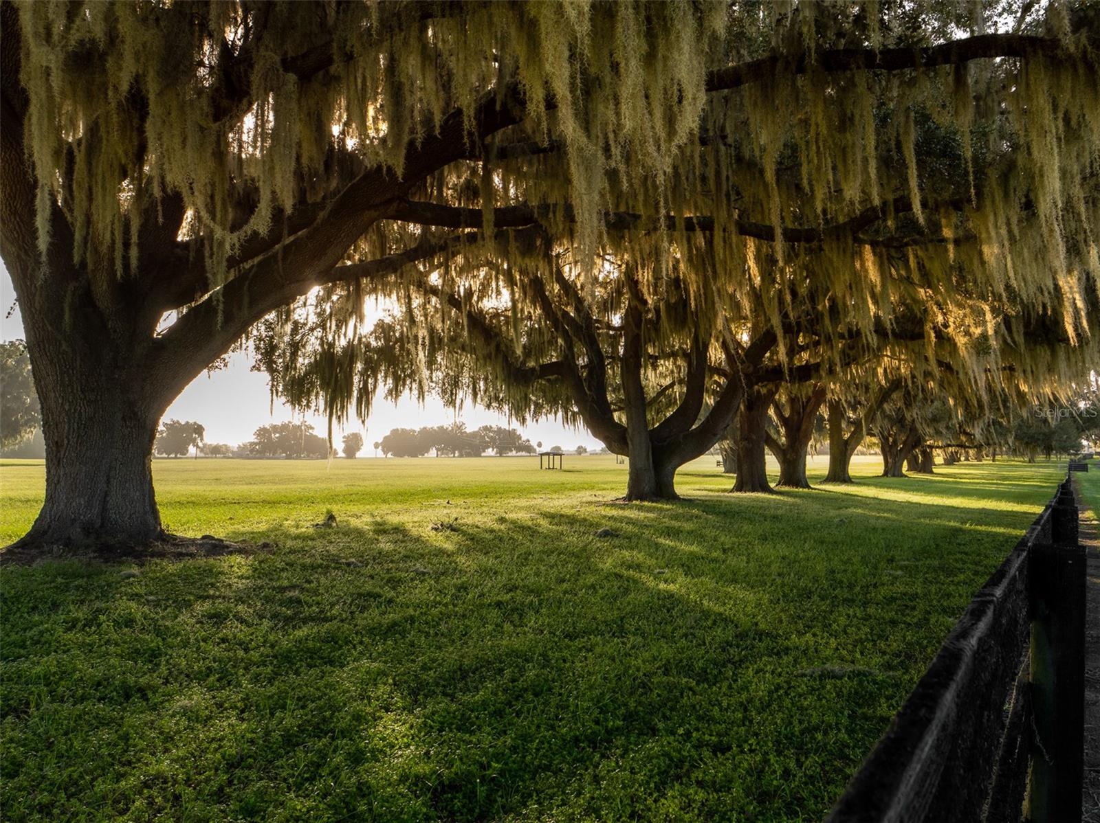 OM711197 Property Photo