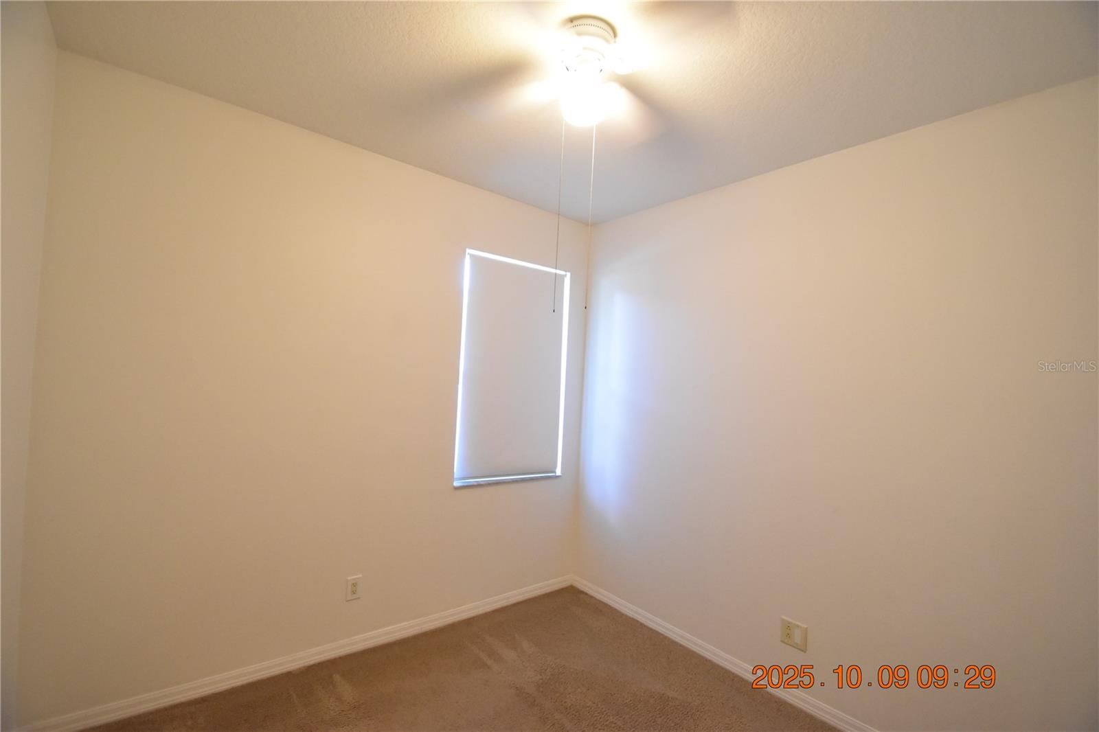 1412 MAIN ST, VALRICO, FL, 33594