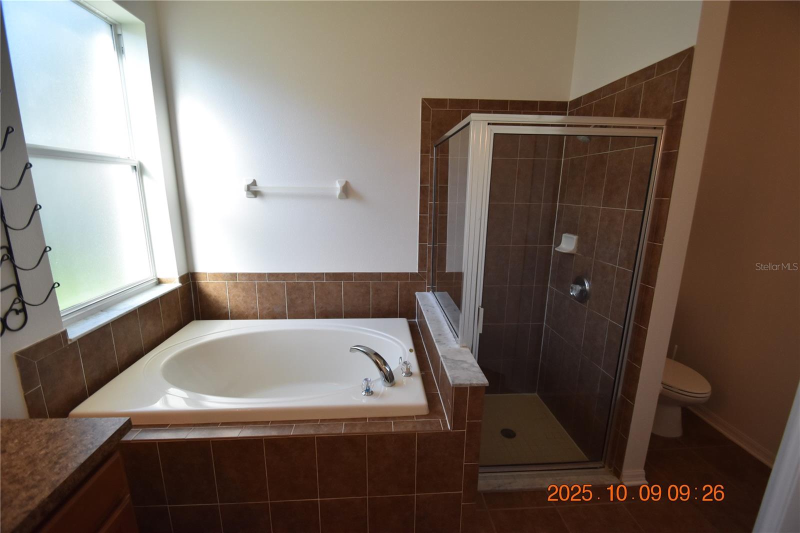 1412 MAIN ST, VALRICO, FL, 33594