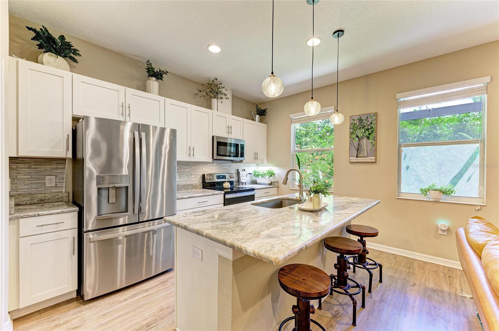 Dream kitchen with all the bells and whistles