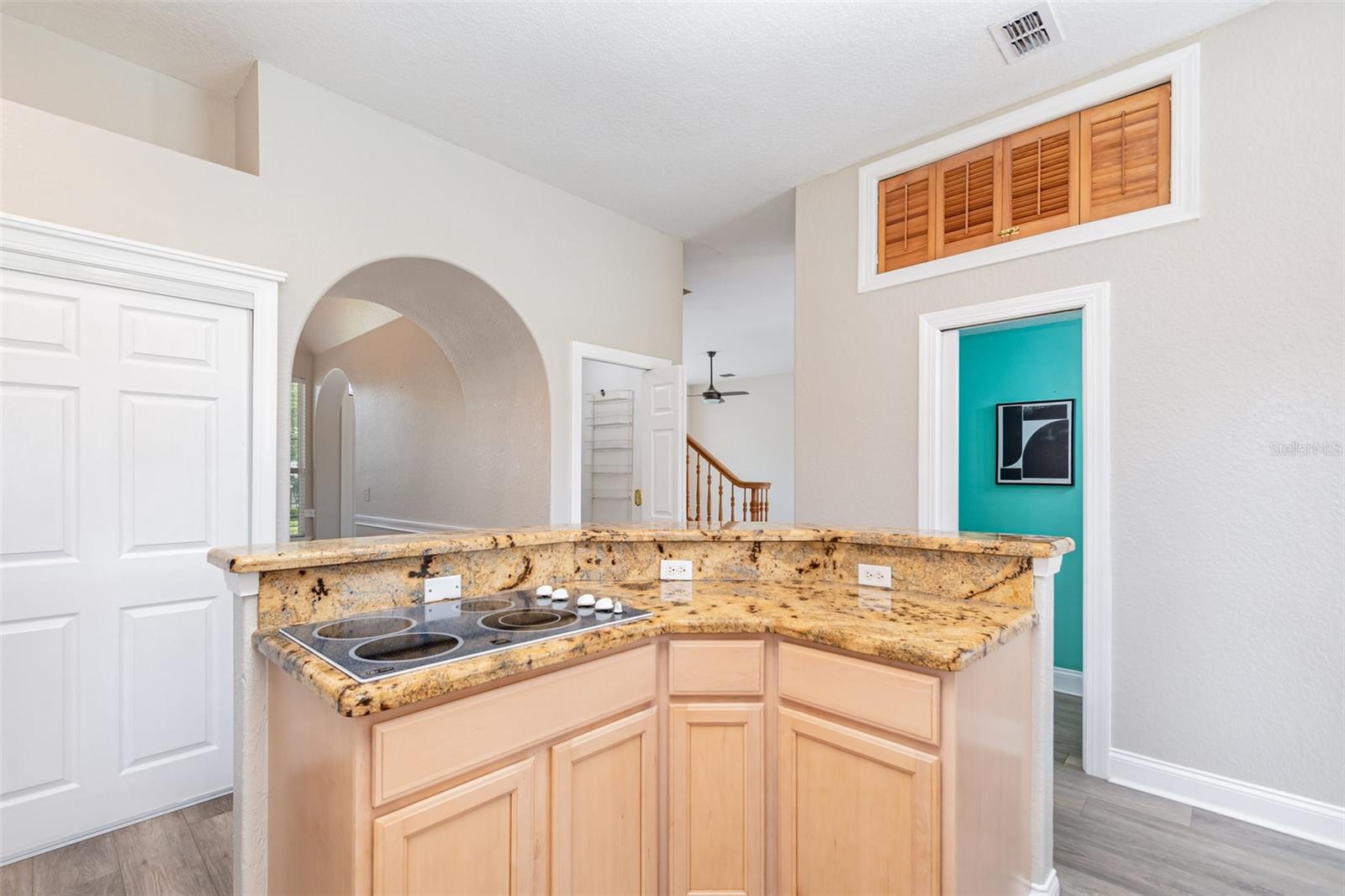 17416 MAGNOLIA ISLAND BLVD, CLERMONT, FL, 34711