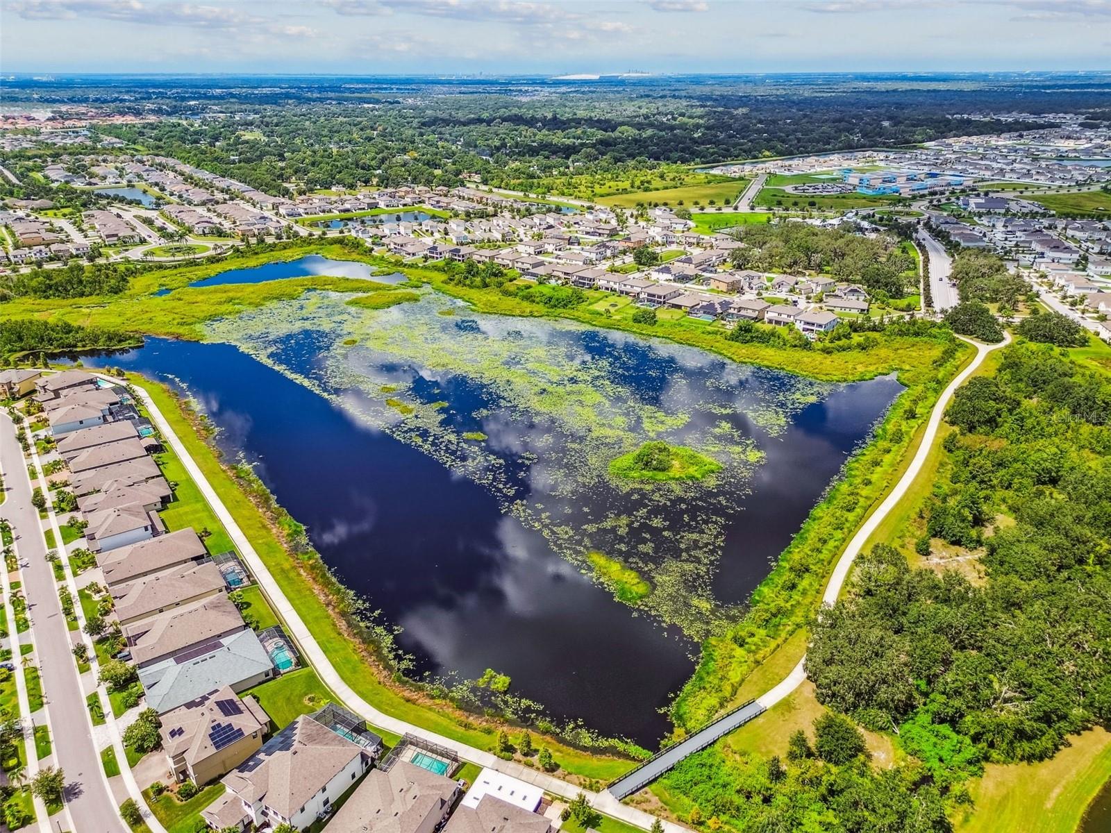 12826 SATIN LILY DR, RIVERVIEW, FL, 33579