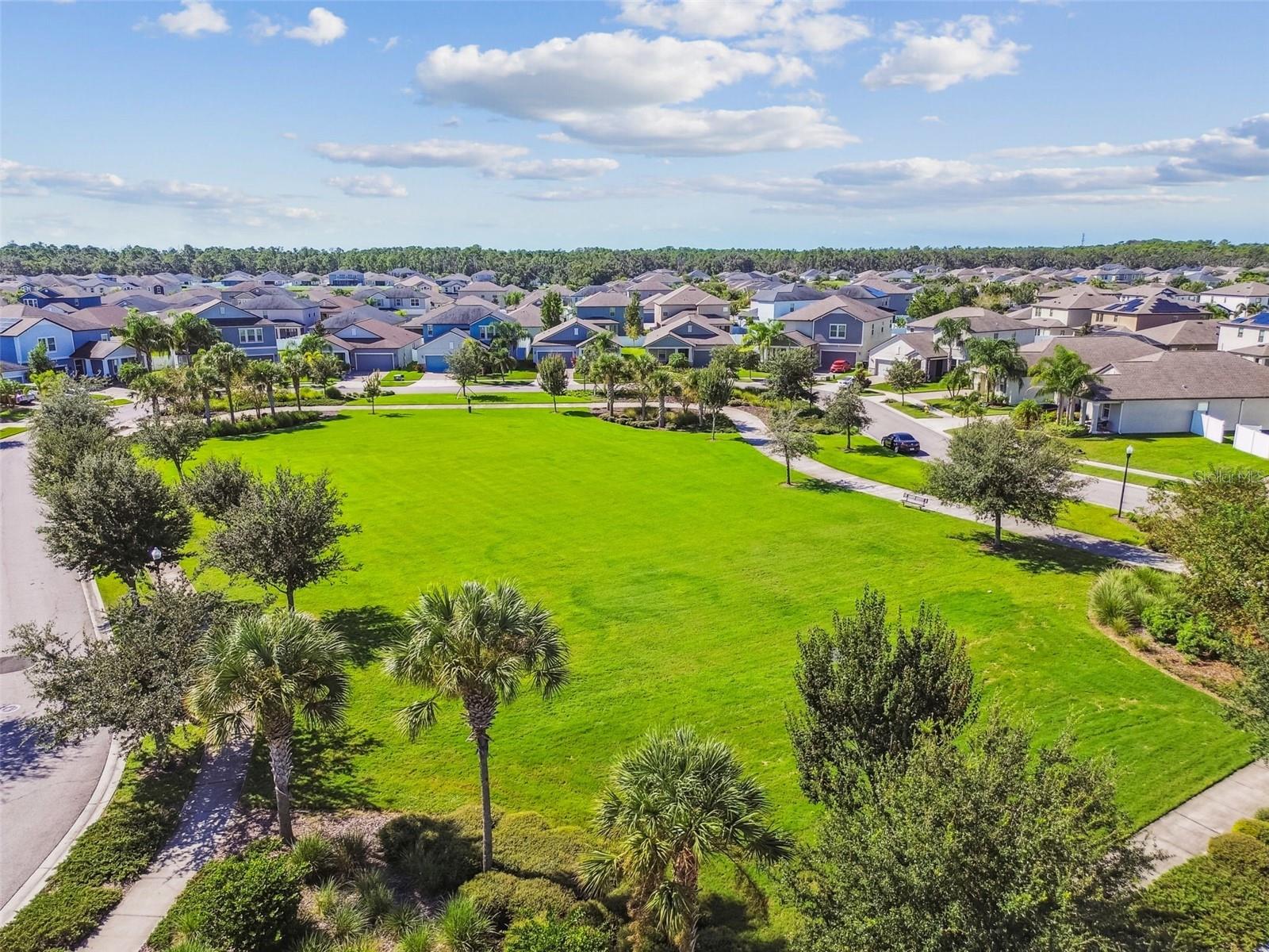 12826 SATIN LILY DR, RIVERVIEW, FL, 33579