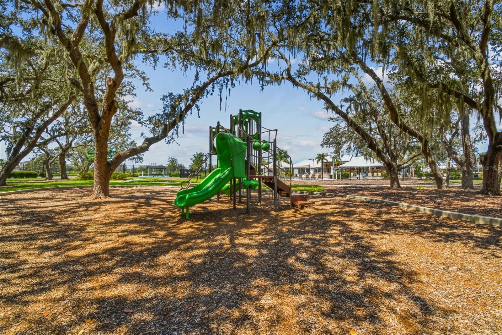 12826 SATIN LILY DR, RIVERVIEW, FL, 33579