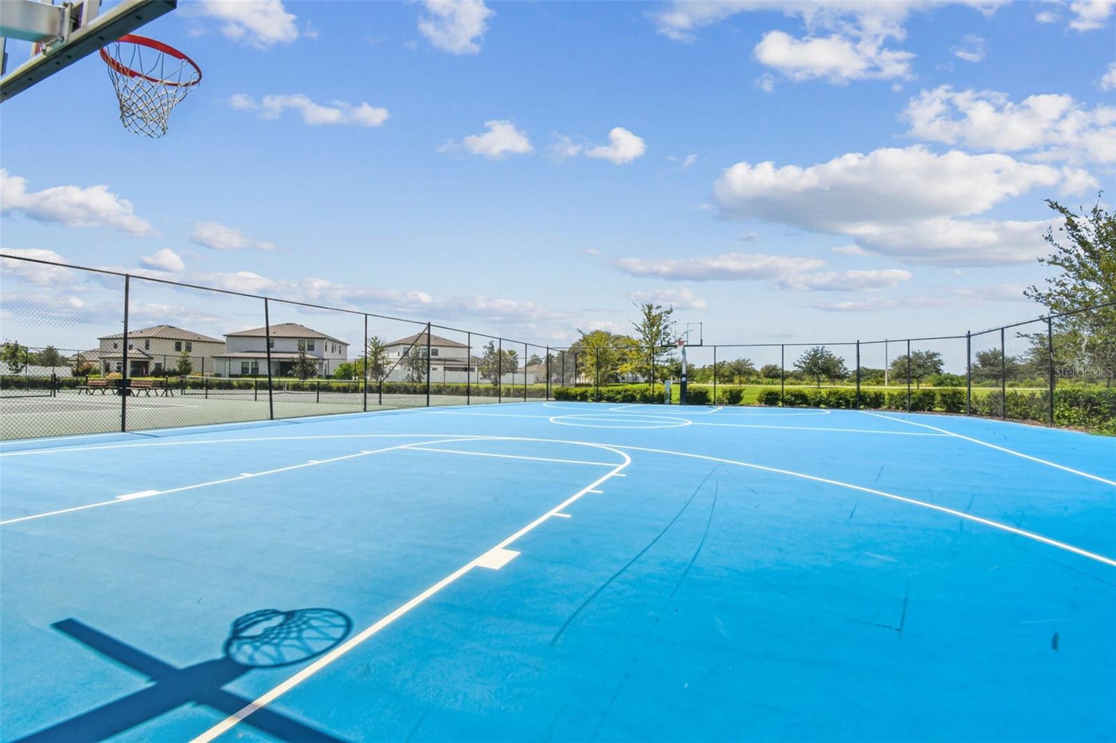 12826 SATIN LILY DR, RIVERVIEW, FL, 33579