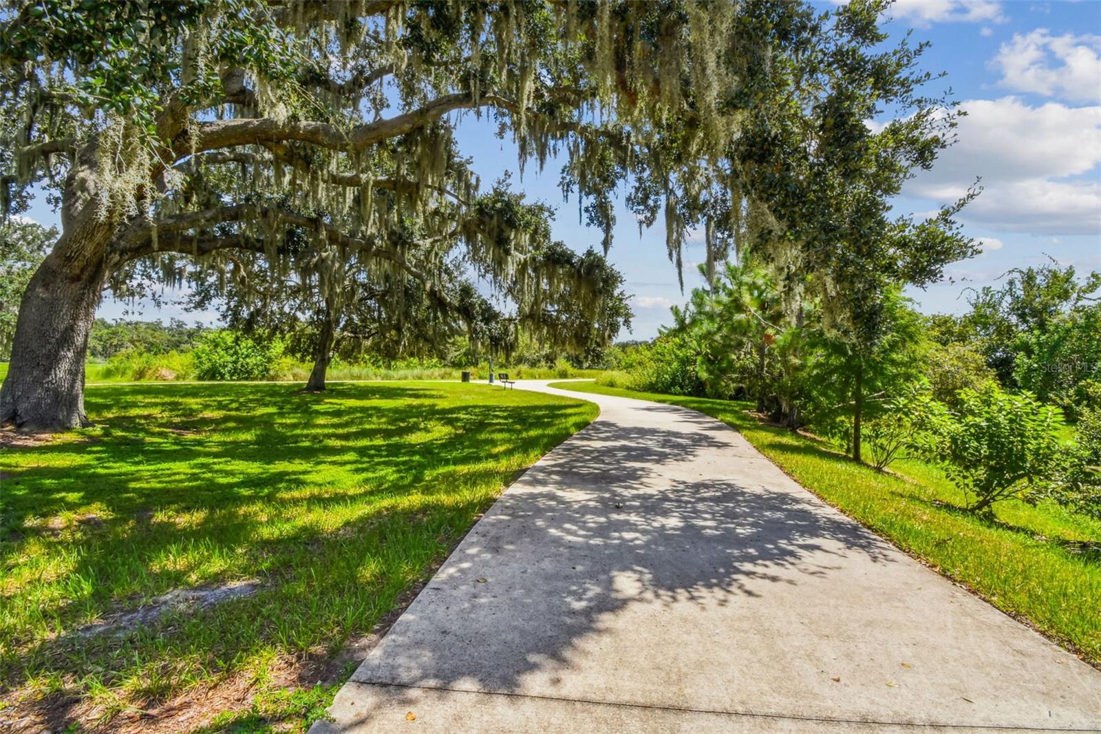 12826 SATIN LILY DR, RIVERVIEW, FL, 33579