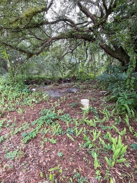 2908 CLEBURNE RD, ORLANDO, FL, 32817