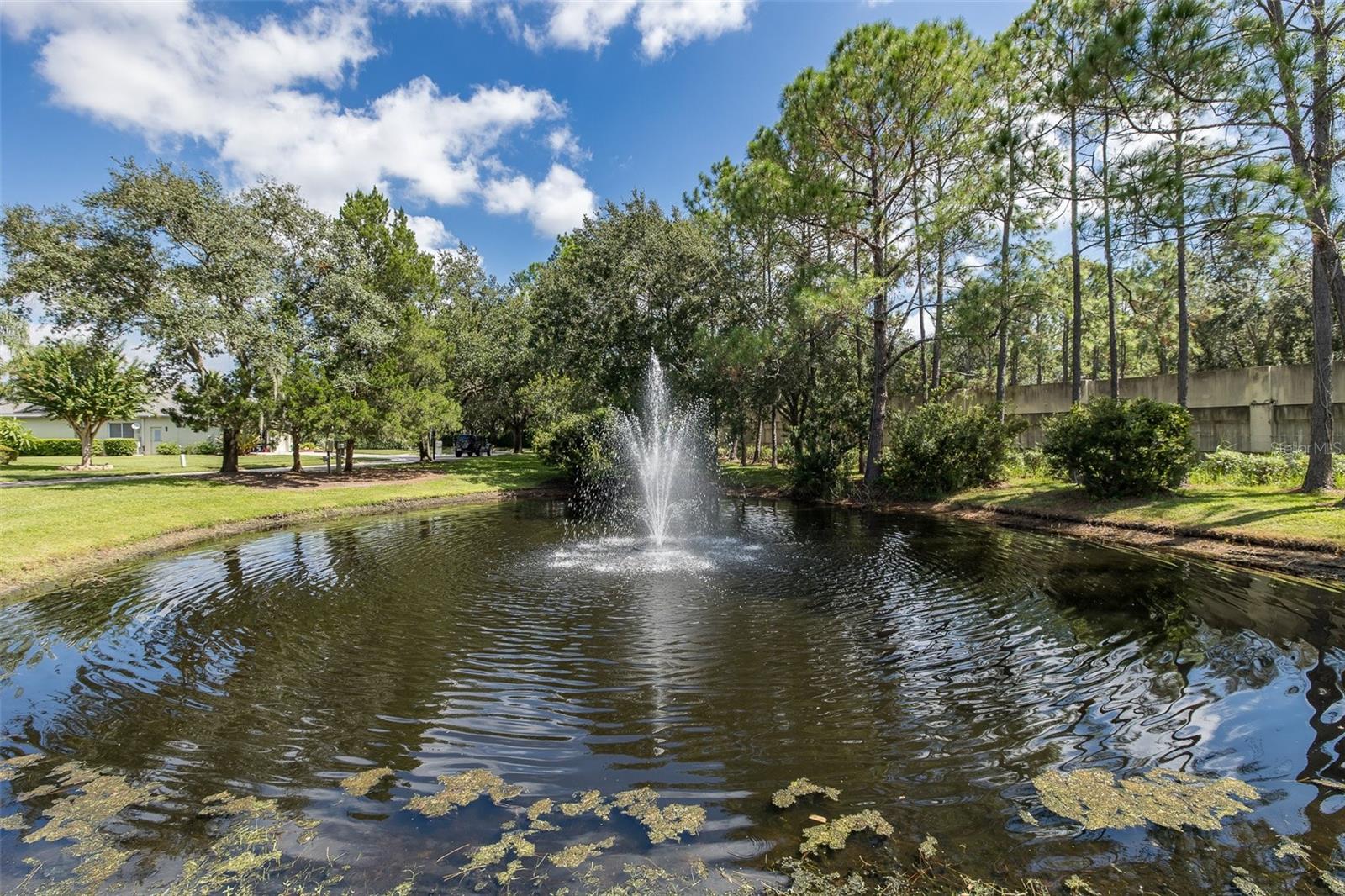 CHEVAL WEST VILLAGE 5B PH 01, LUTZ, FL, 33558