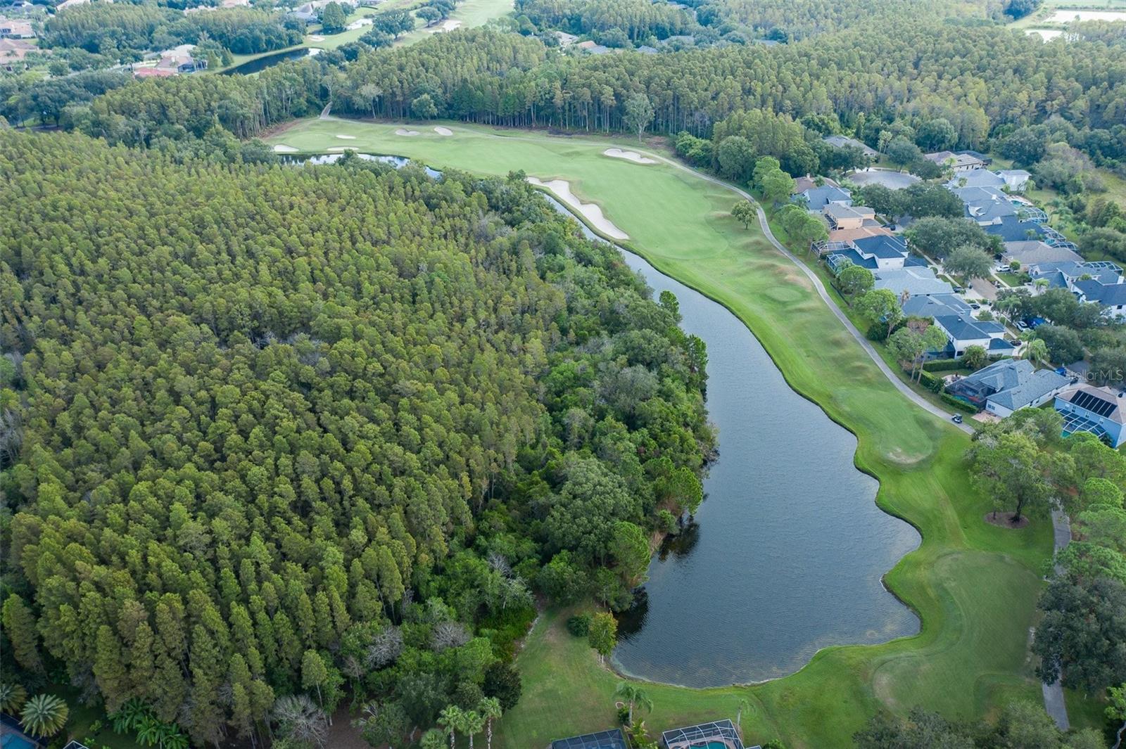 CHEVAL WEST VILLAGE 5B PH 01, LUTZ, FL, 33558