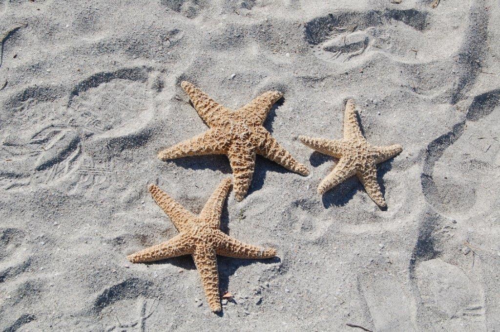 A4668015 Property Photo