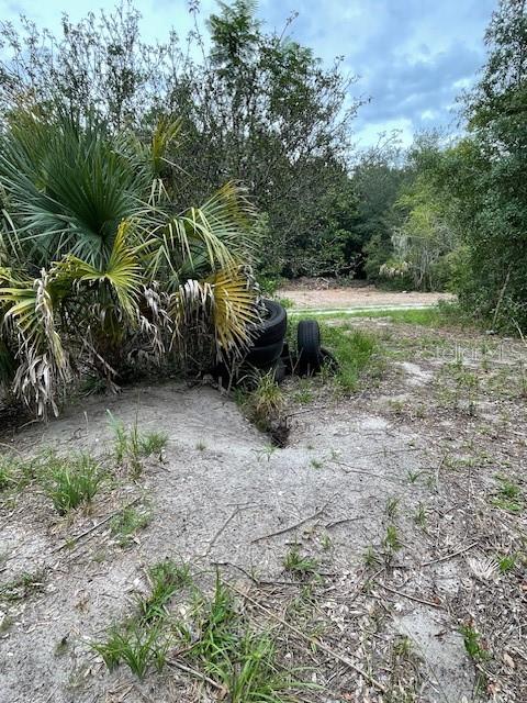 2900 CLEBURNE RD, ORLANDO, FL, 32817