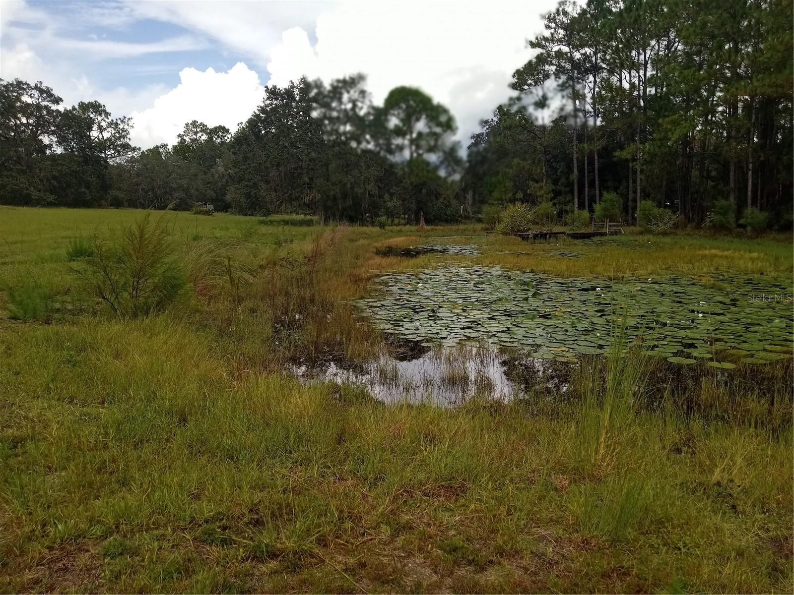 1649 SAIL LN, KISSIMMEE, FL, 34759