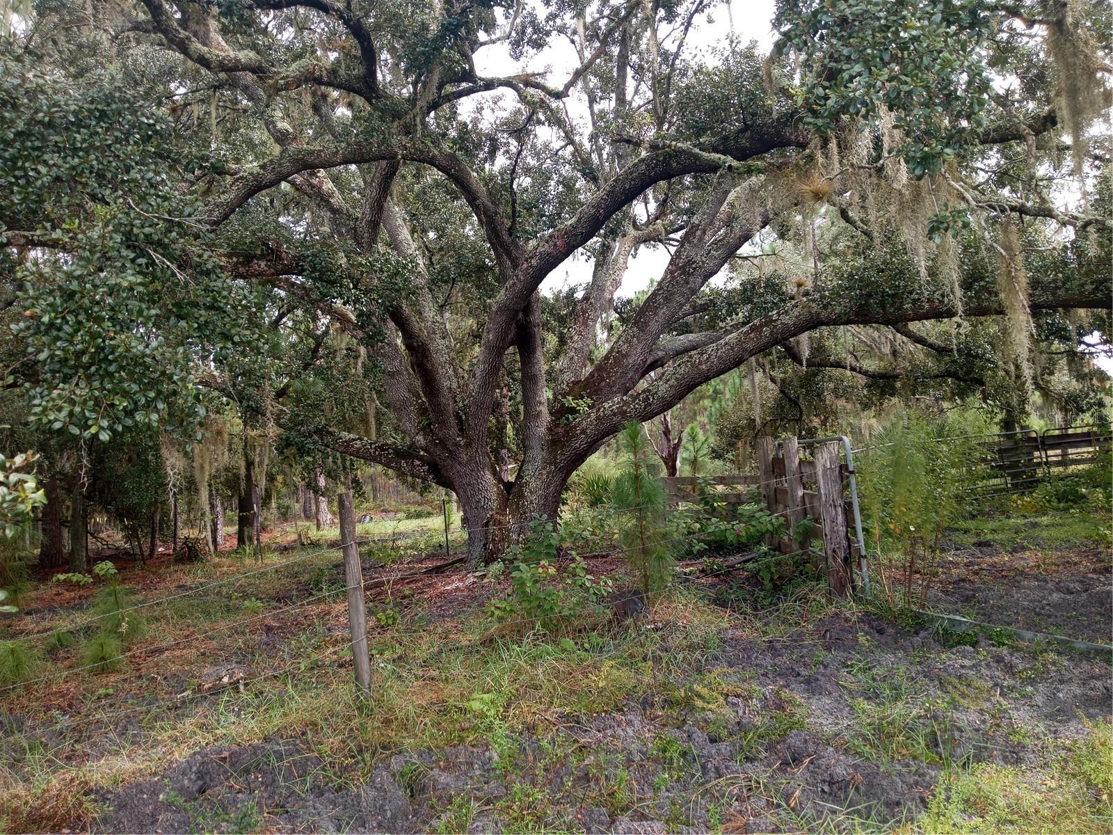 1649 SAIL LN, KISSIMMEE, FL, 34759