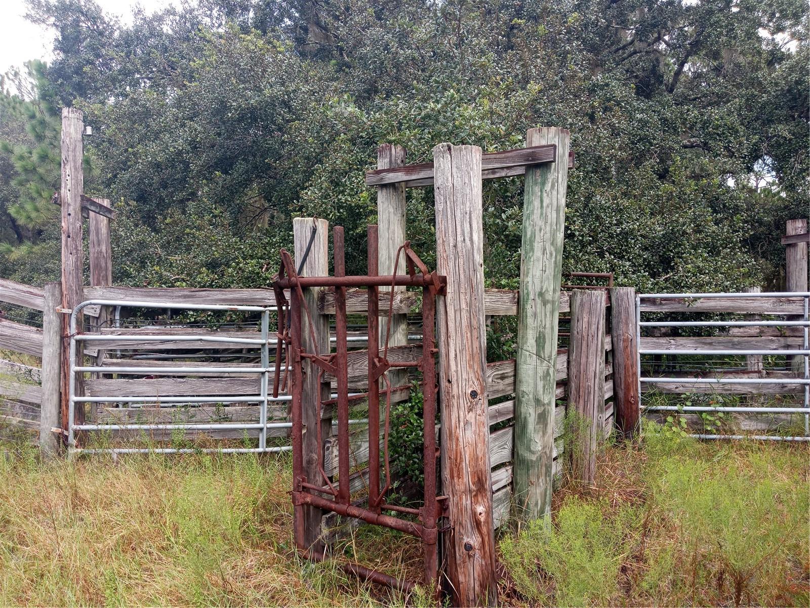 1649 SAIL LN, KISSIMMEE, FL, 34759