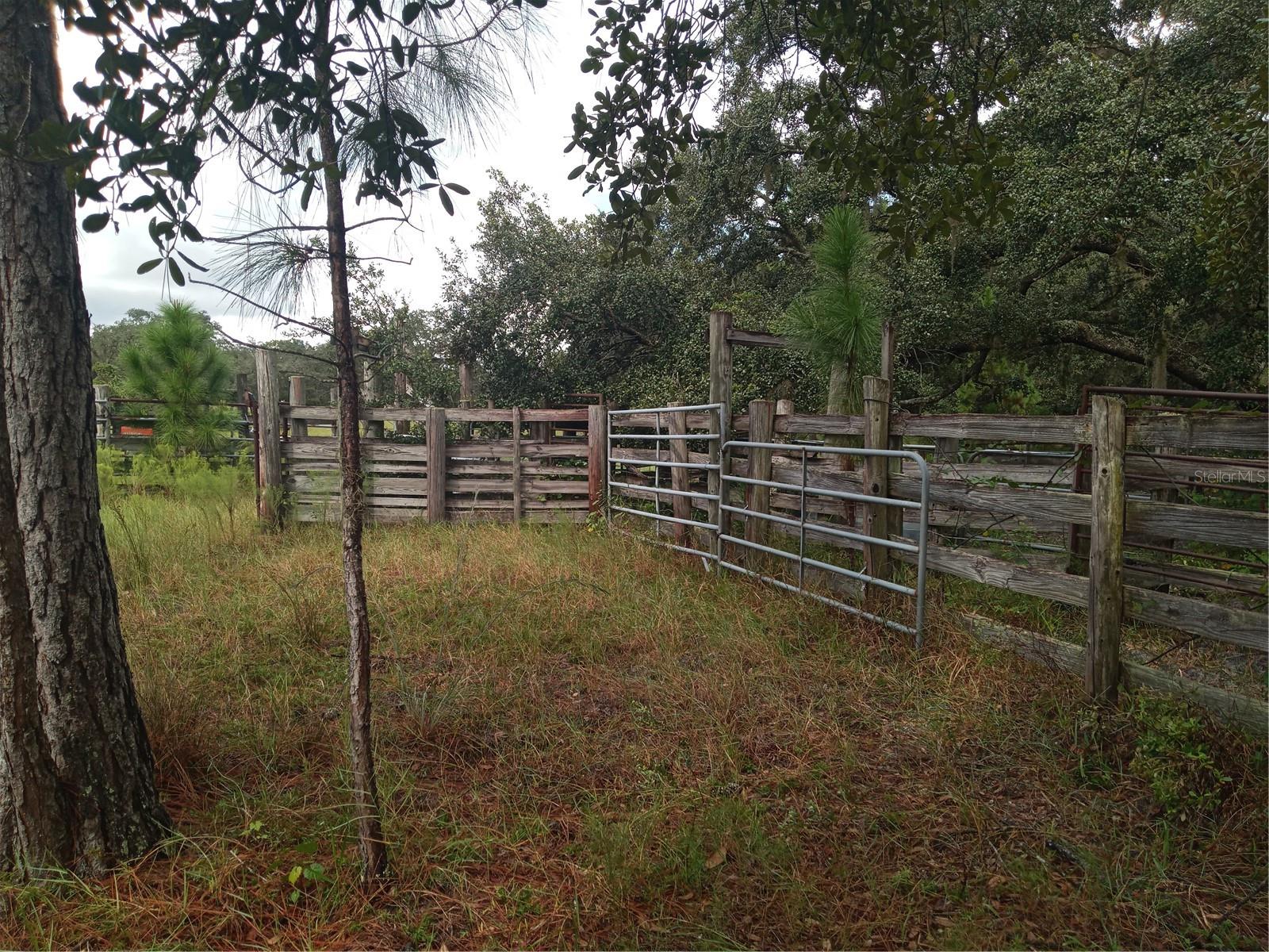 1649 SAIL LN, KISSIMMEE, FL, 34759