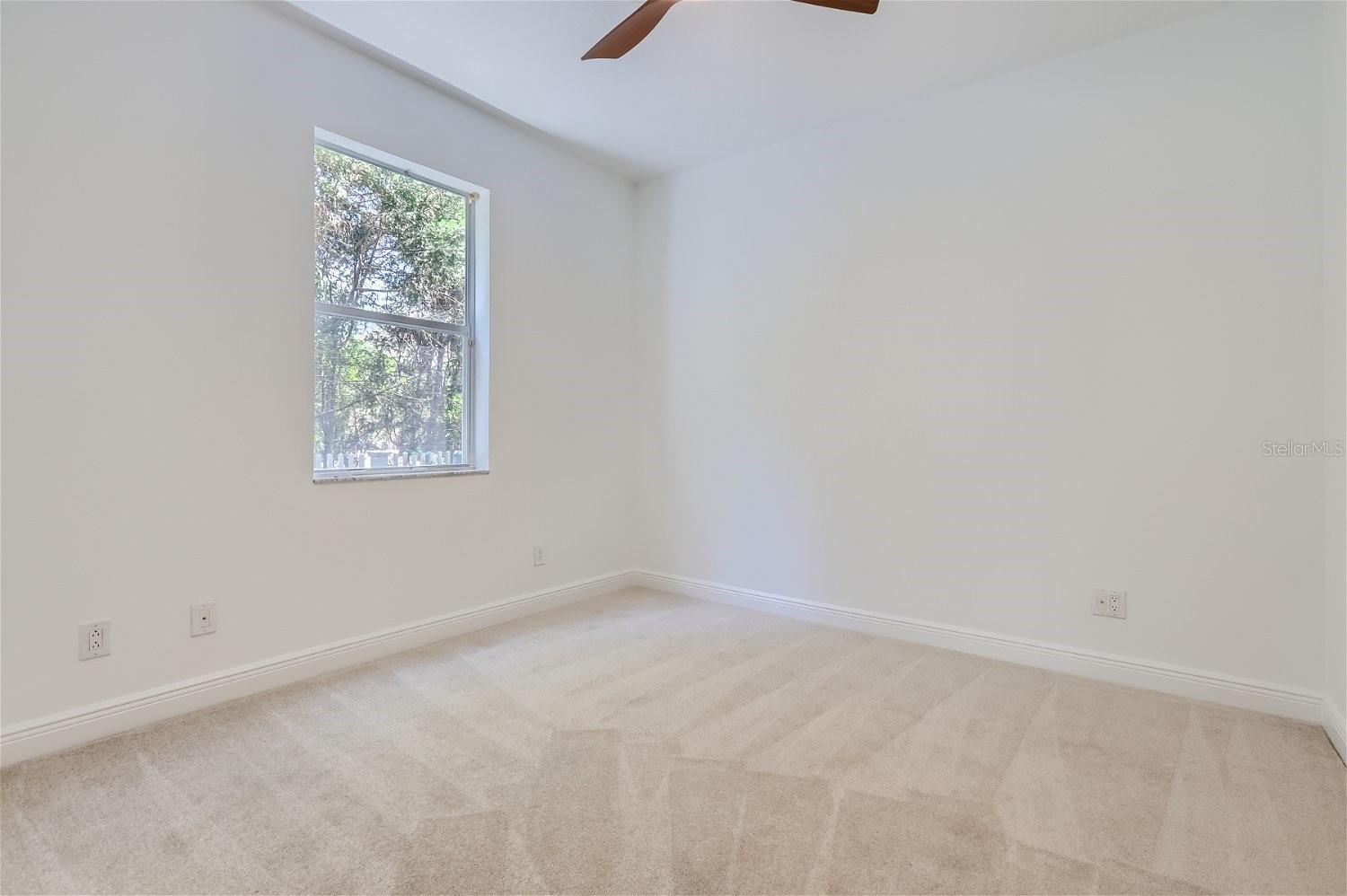 7436 NIGHT HERON DR, LAND O LAKES, FL, 34637