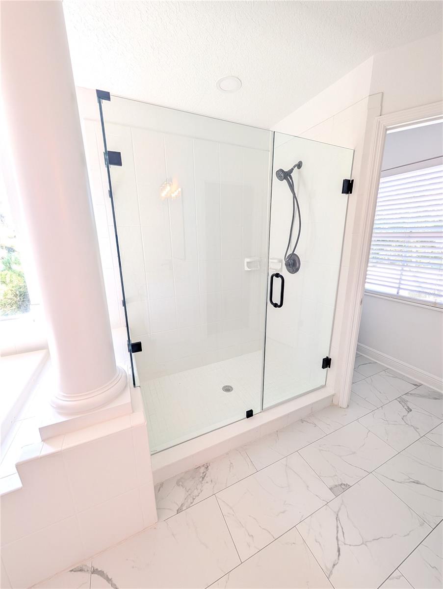 7436 NIGHT HERON DR, LAND O LAKES, FL, 34637