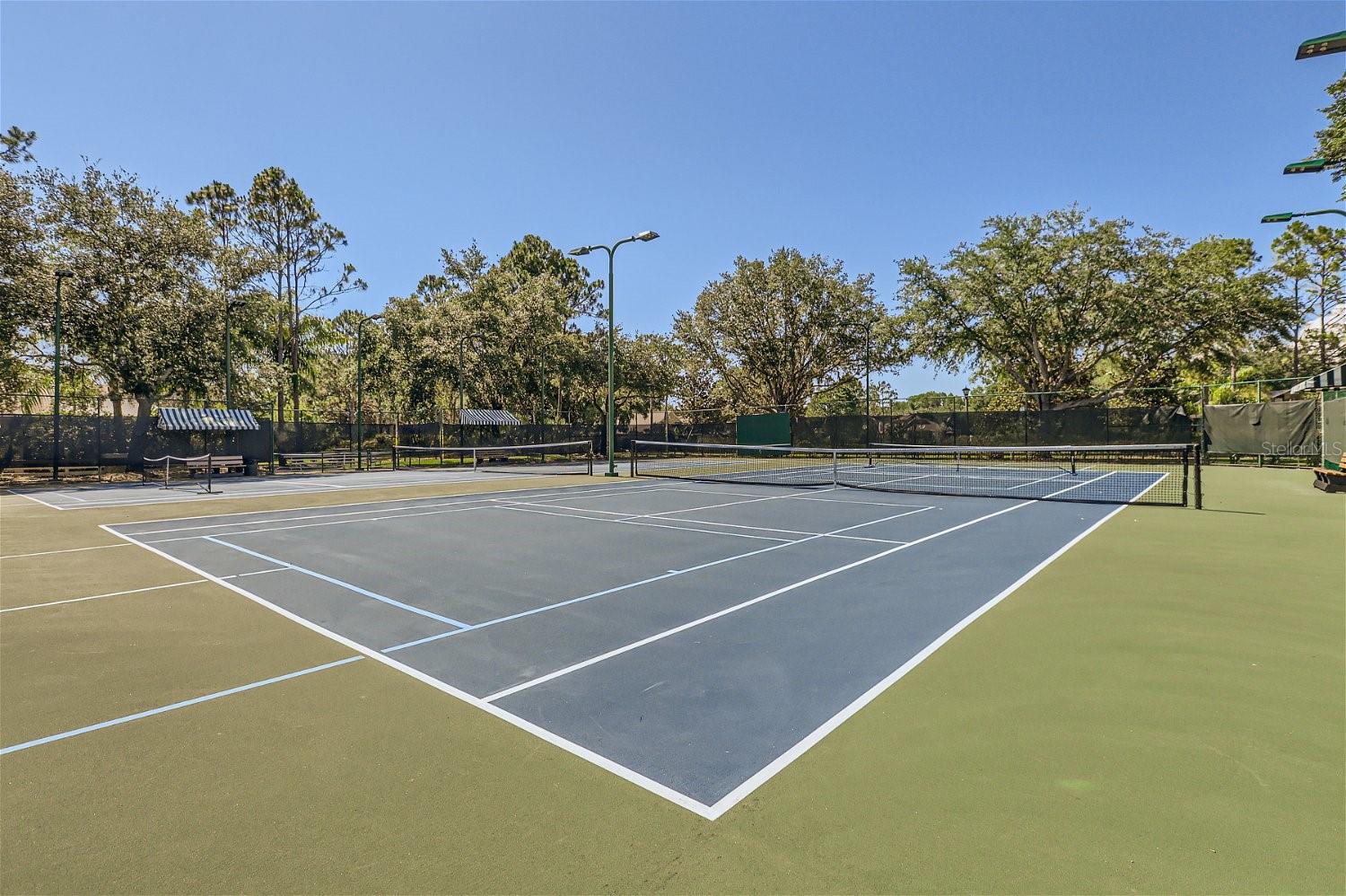 7436 NIGHT HERON DR, LAND O LAKES, FL, 34637