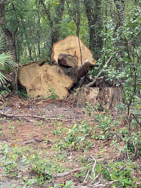 2904 CLEBURNE RD, ORLANDO, FL, 32817