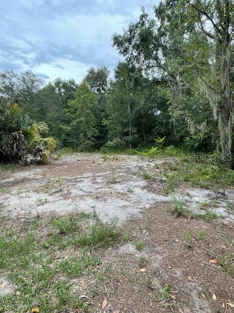 2850 CLEBURNE RD, ORLANDO, FL, 32817