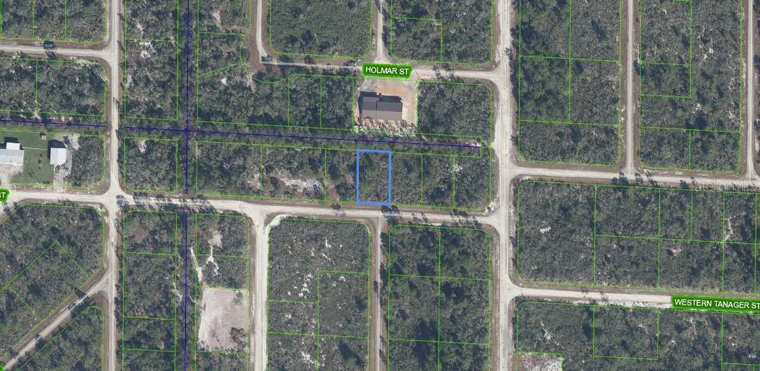 3507 & 3509 JAMBOREE ST, LAKE PLACID, FL, 33852