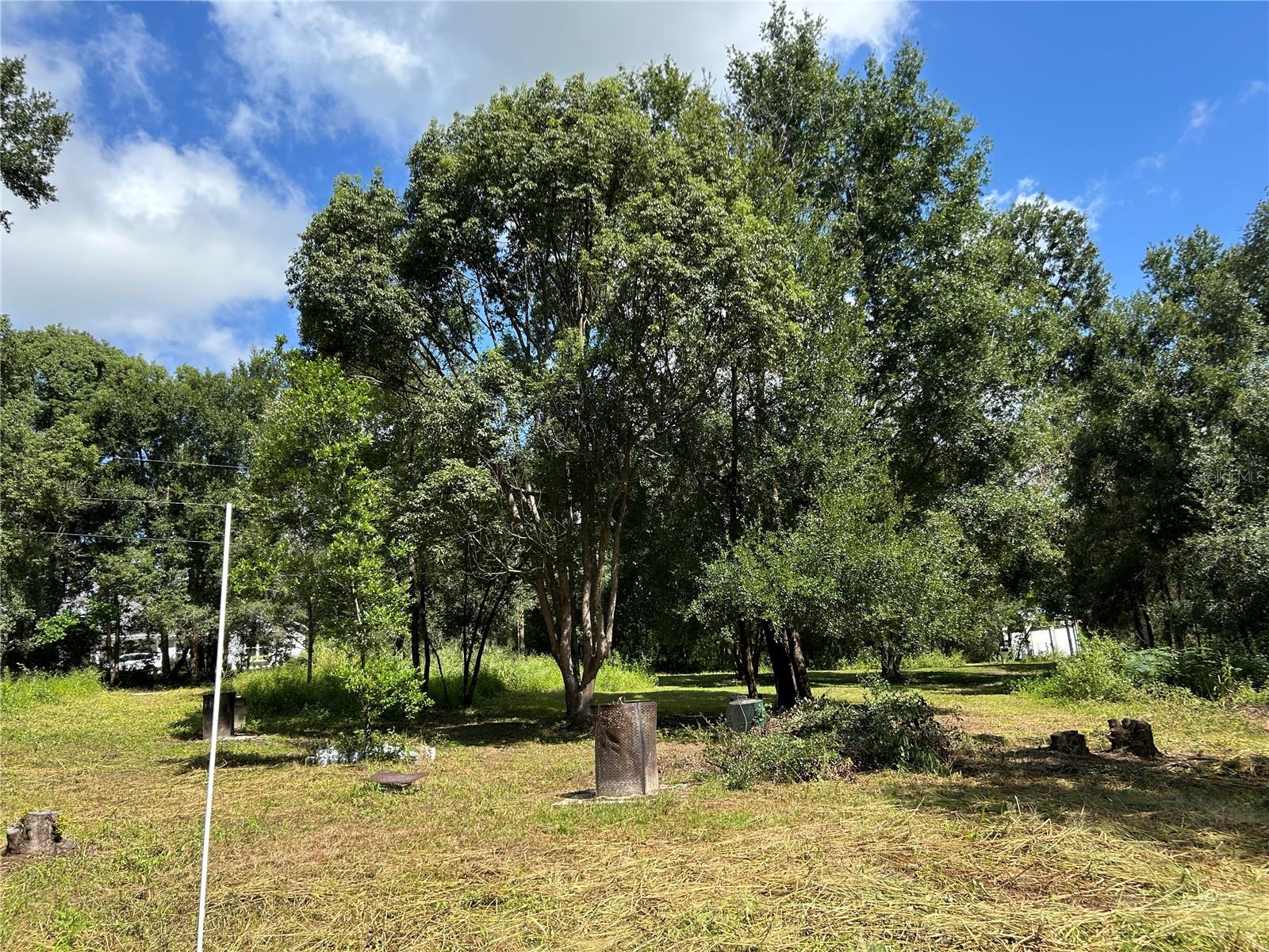 38116 HAMRICH DR, DADE CITY, FL, 33525