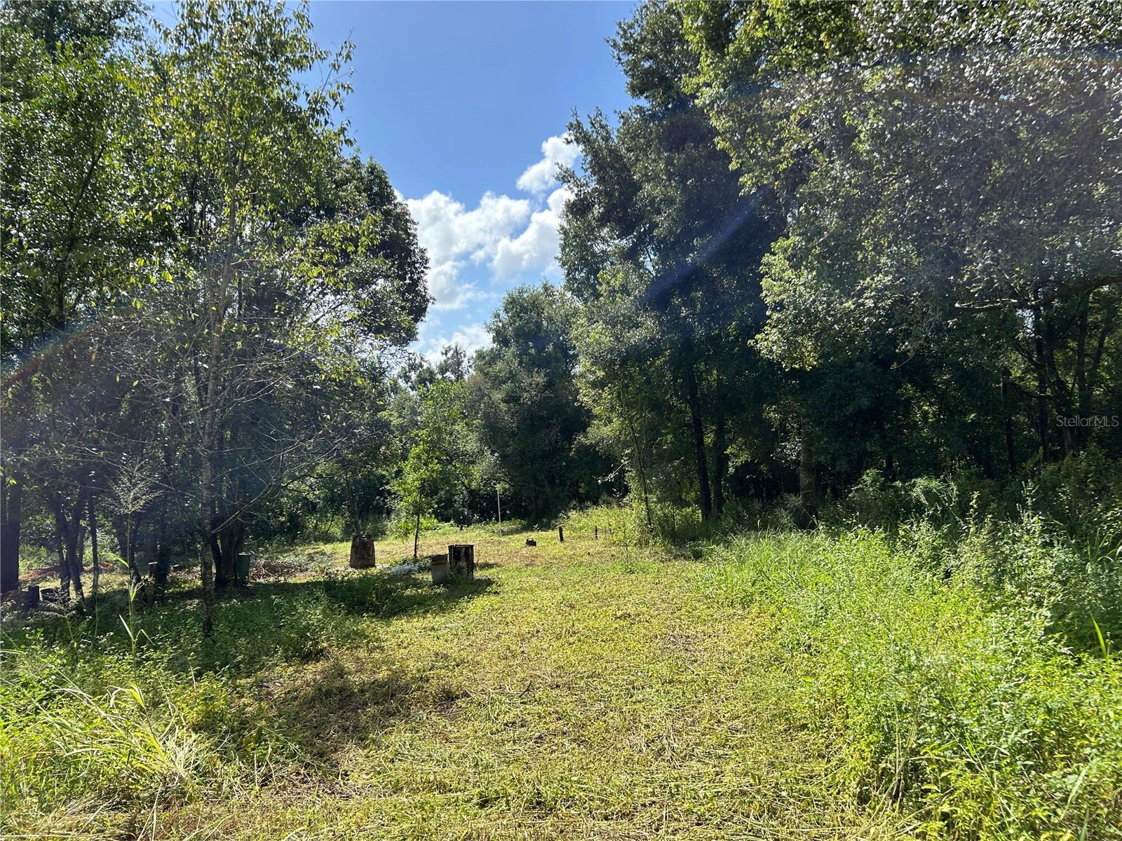 38116 HAMRICH DR, DADE CITY, FL, 33525