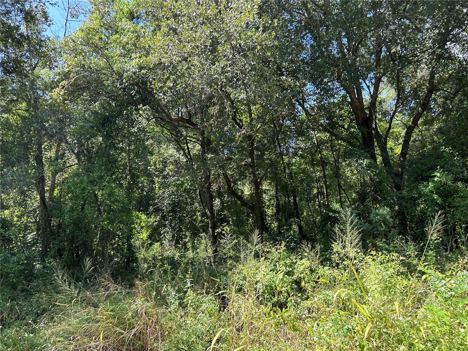 38116 HAMRICH DR, DADE CITY, FL, 33525