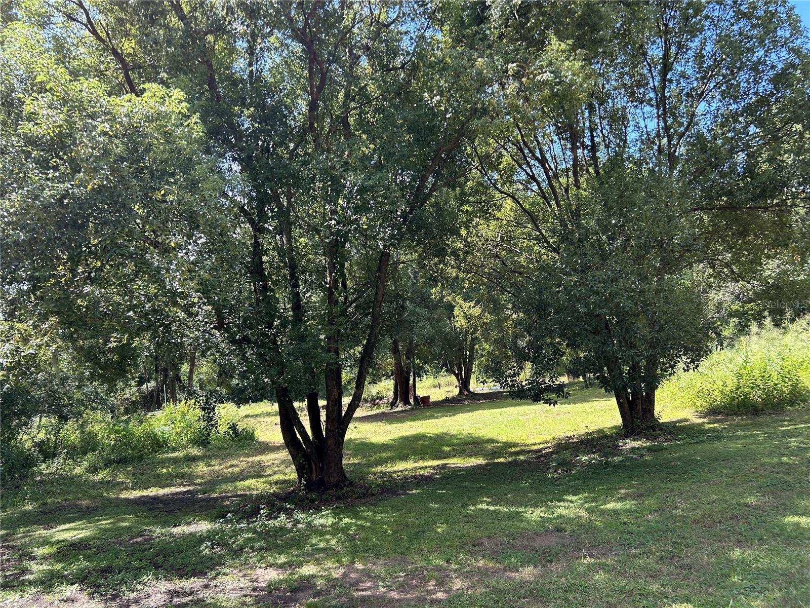 38116 HAMRICH DR, DADE CITY, FL, 33525