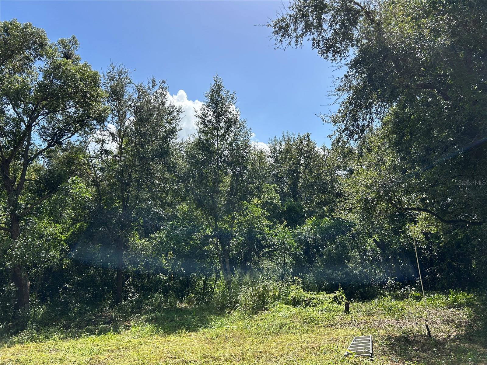 38116 HAMRICH DR, DADE CITY, FL, 33525