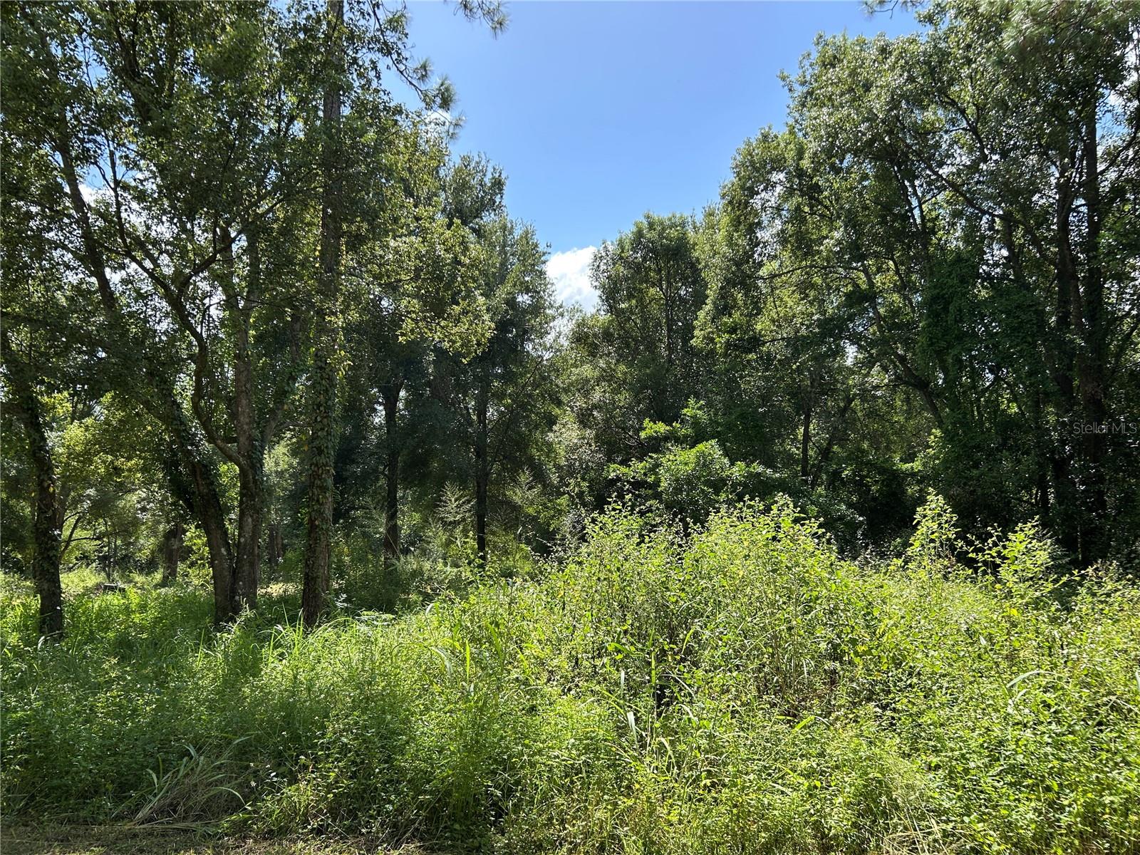 38116 HAMRICH DR, DADE CITY, FL, 33525