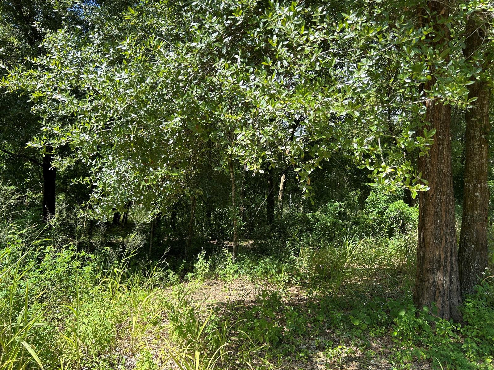 38116 HAMRICH DR, DADE CITY, FL, 33525