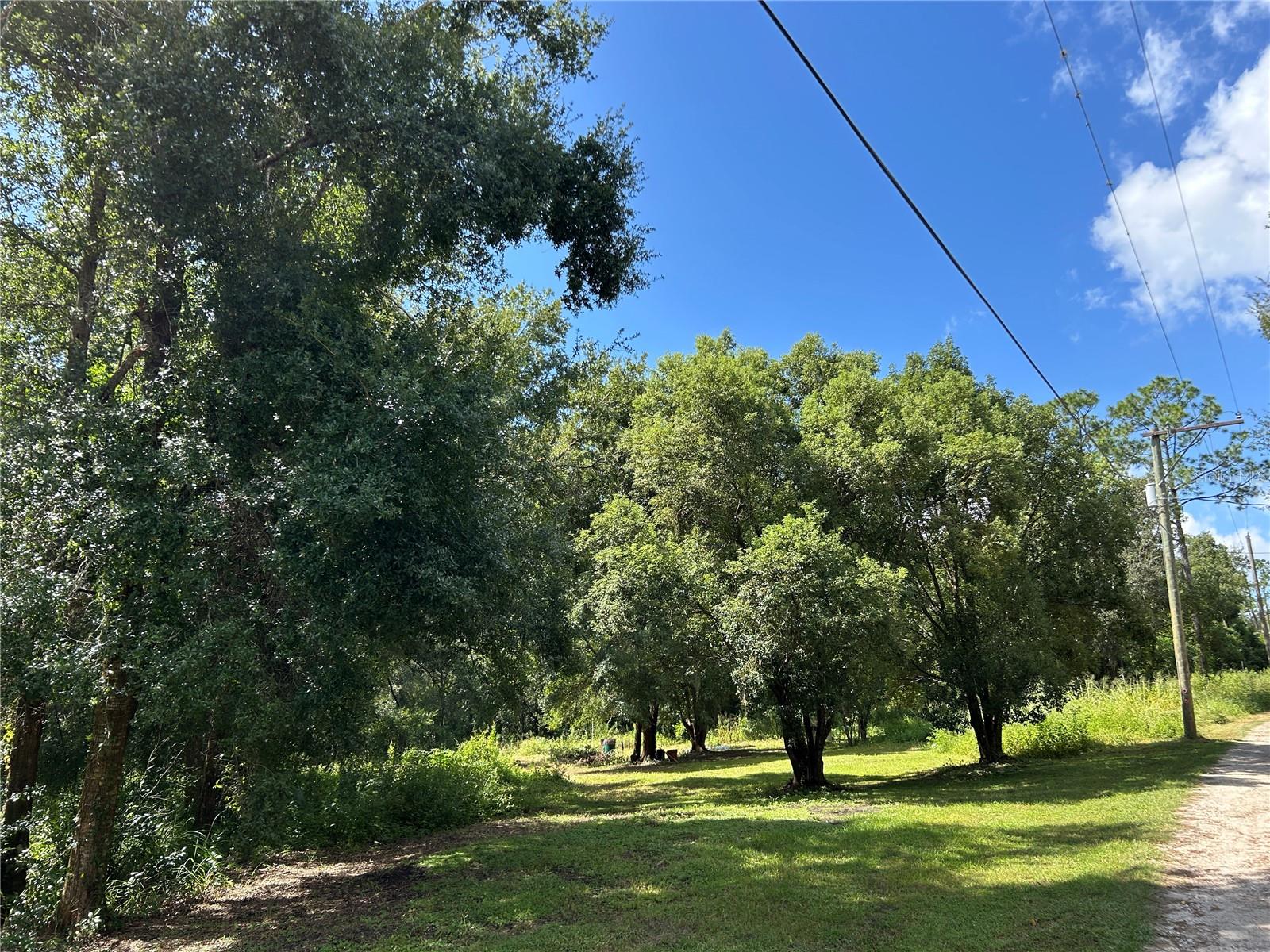 38116 HAMRICH DR, DADE CITY, FL, 33525