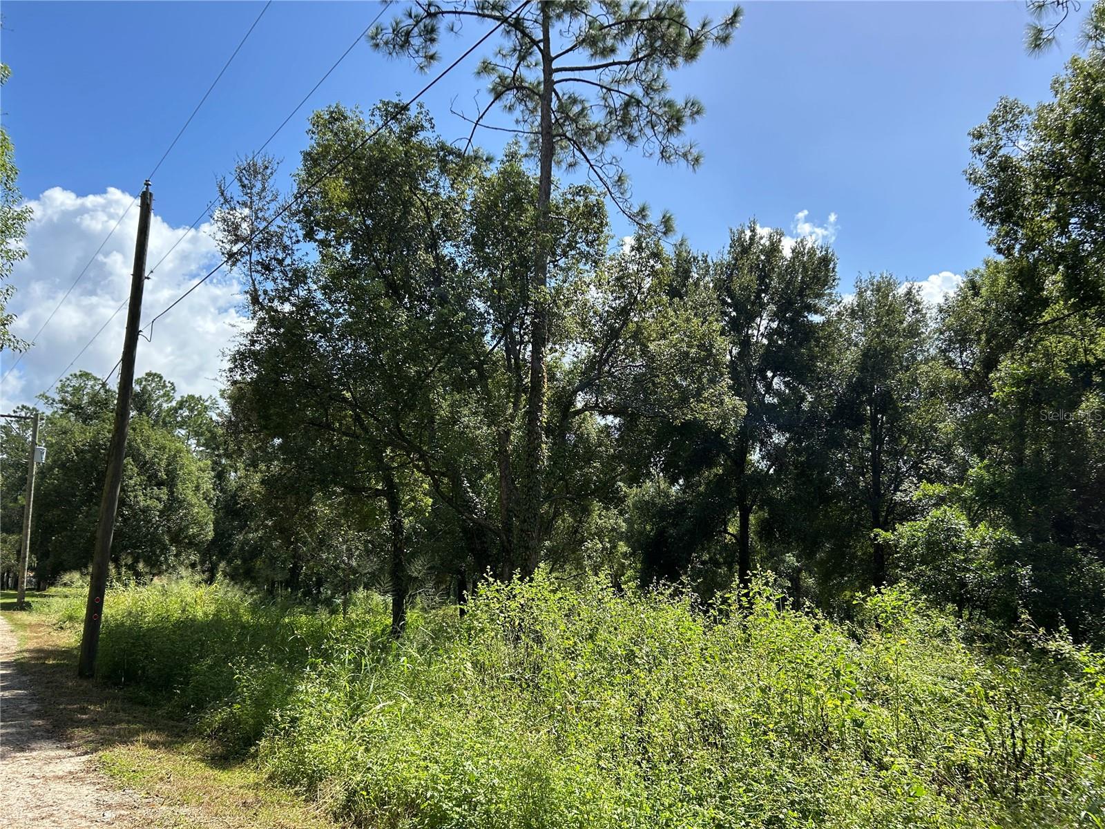 38116 HAMRICH DR, DADE CITY, FL, 33525