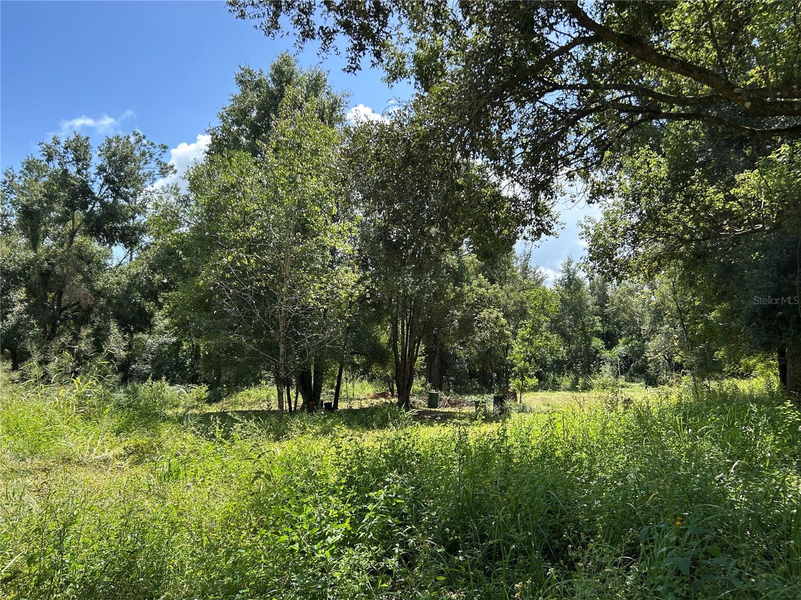 38116 HAMRICH DR, DADE CITY, FL, 33525