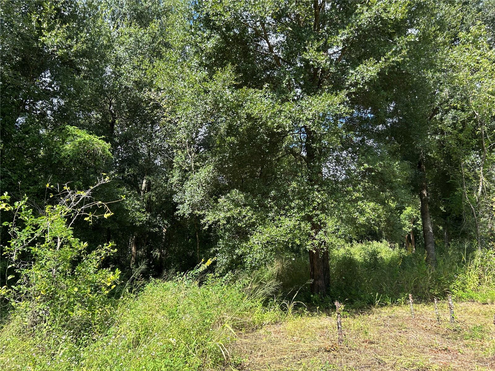 38116 HAMRICH DR, DADE CITY, FL, 33525