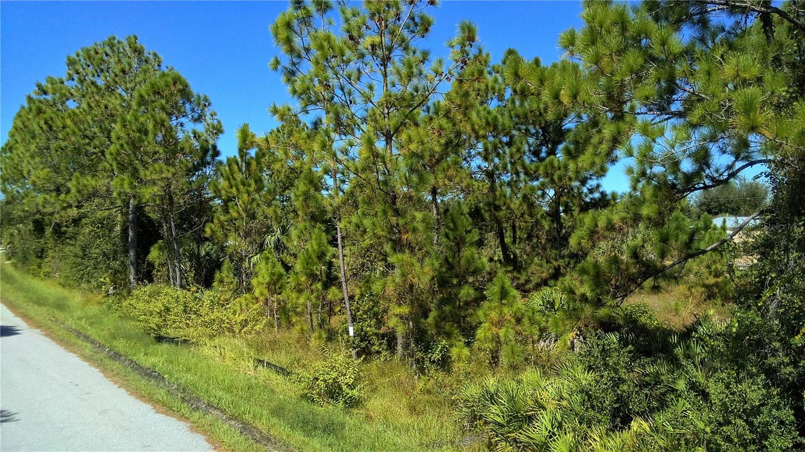 22220 CLINTON AVE, PORT CHARLOTTE, FL, 33954