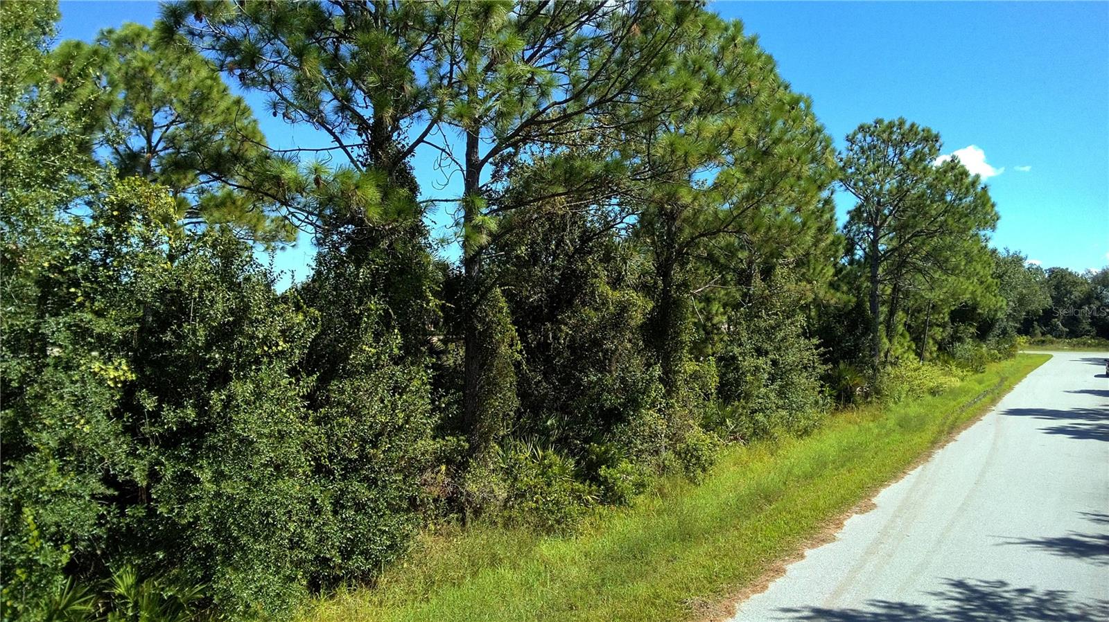 22220 CLINTON AVE, PORT CHARLOTTE, FL, 33954