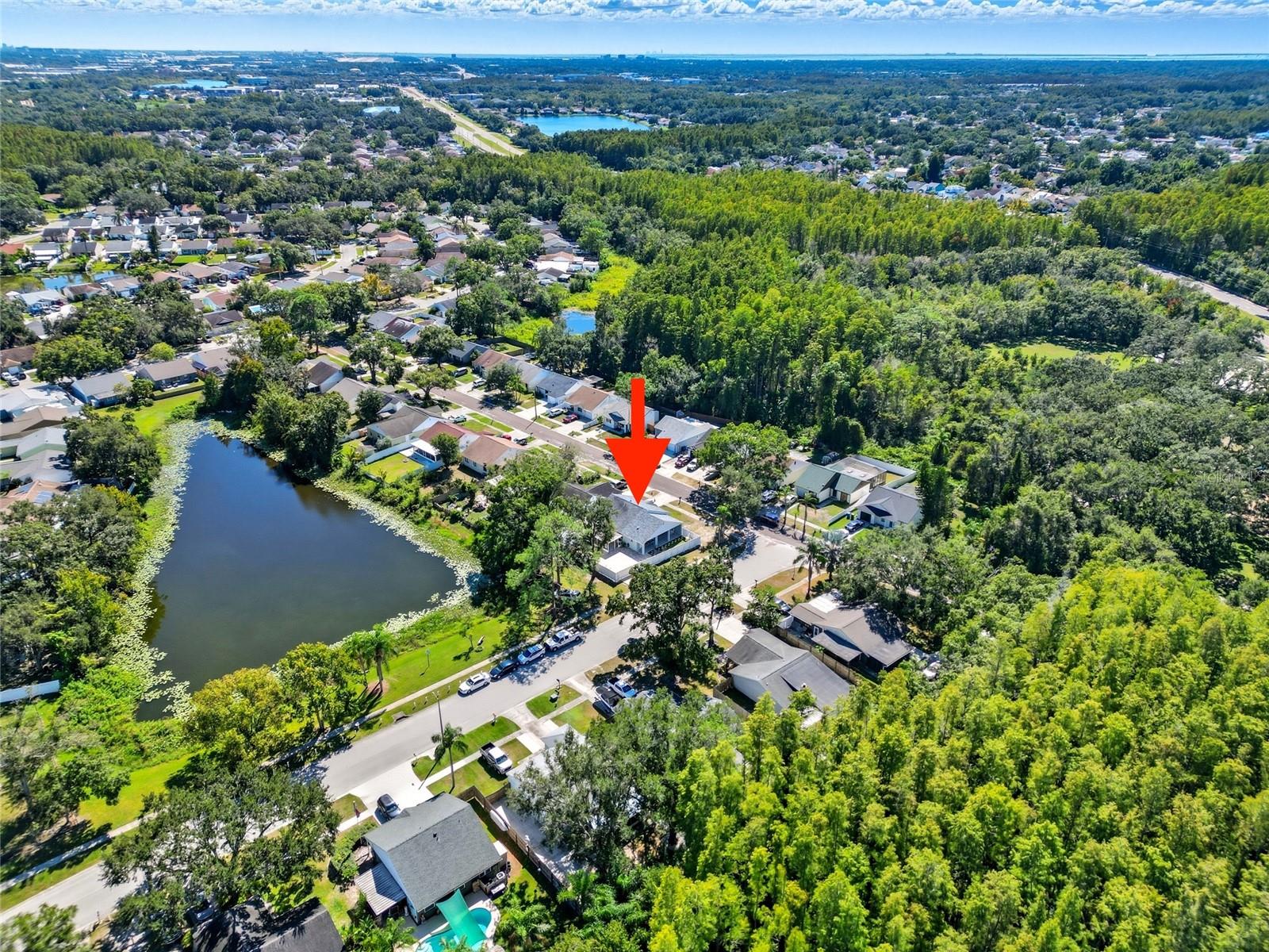 12421 PEPPERFIELD DR, TAMPA, FL, 33624