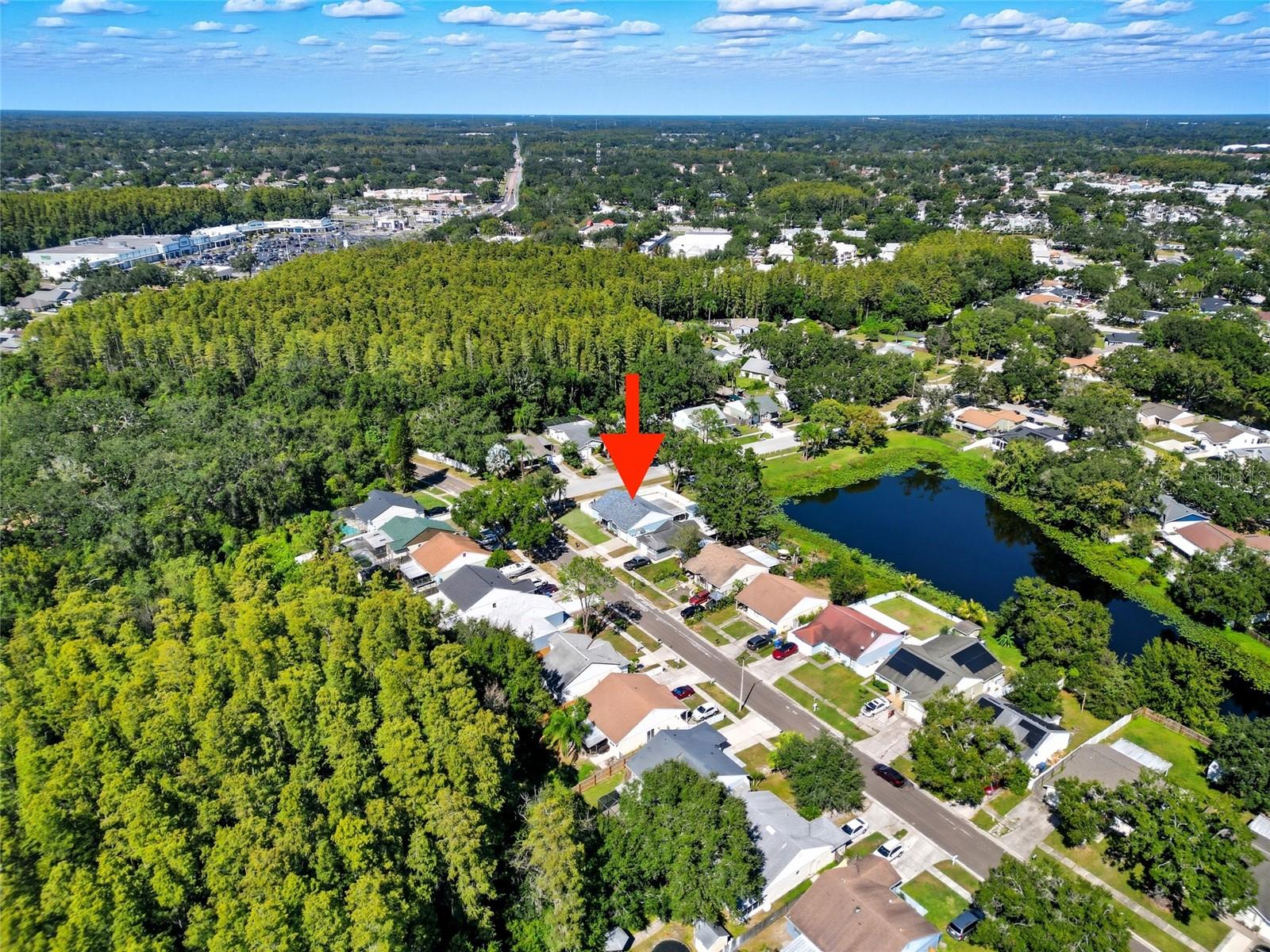 12421 PEPPERFIELD DR, TAMPA, FL, 33624