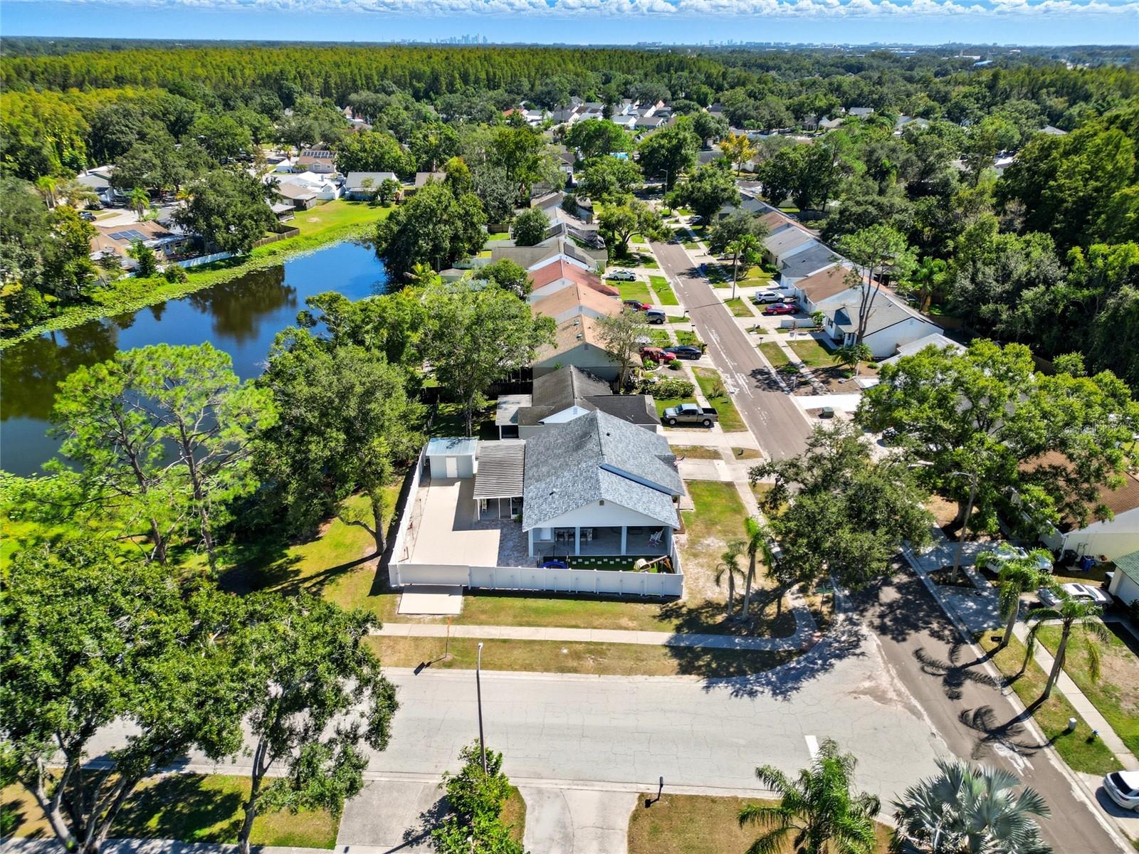 12421 PEPPERFIELD DR, TAMPA, FL, 33624