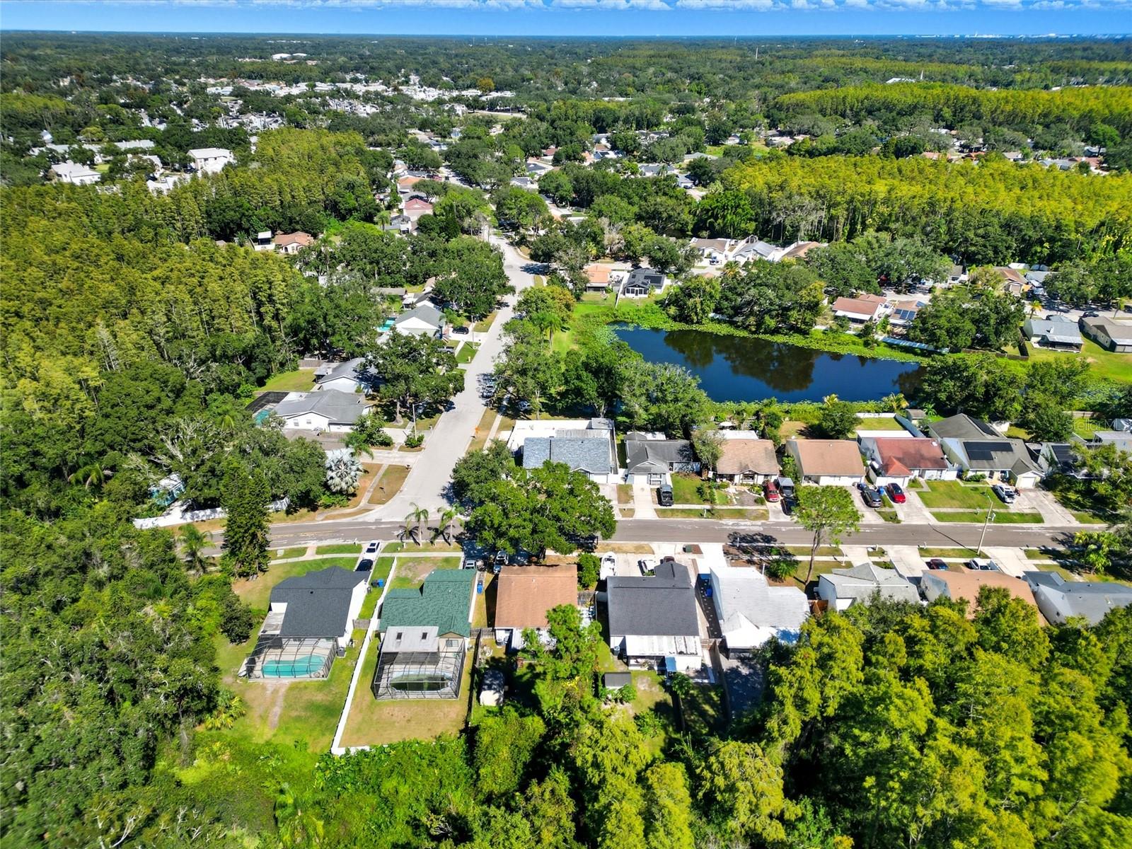 12421 PEPPERFIELD DR, TAMPA, FL, 33624