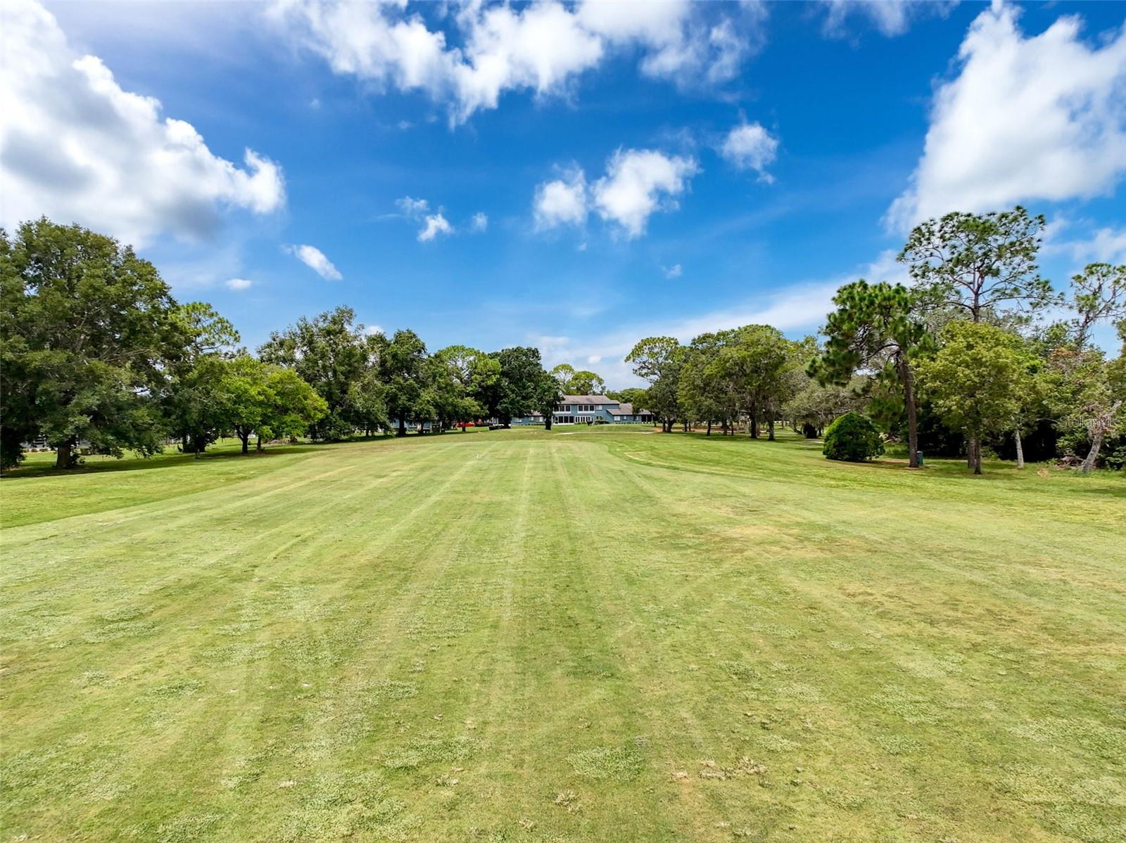 8950 HERNANDO WAY, WEEKI WACHEE, FL, 34613