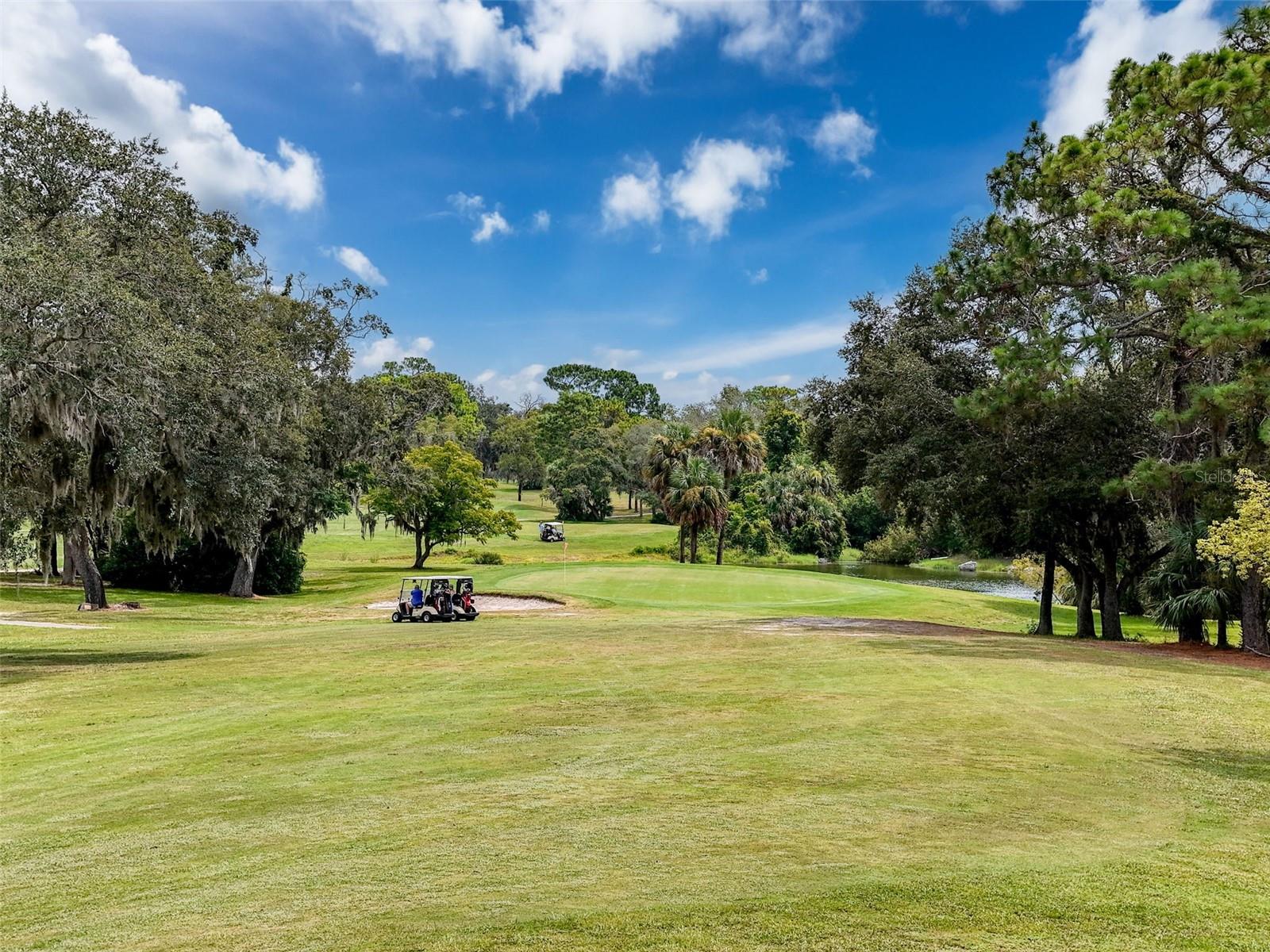 8950 HERNANDO WAY, WEEKI WACHEE, FL, 34613