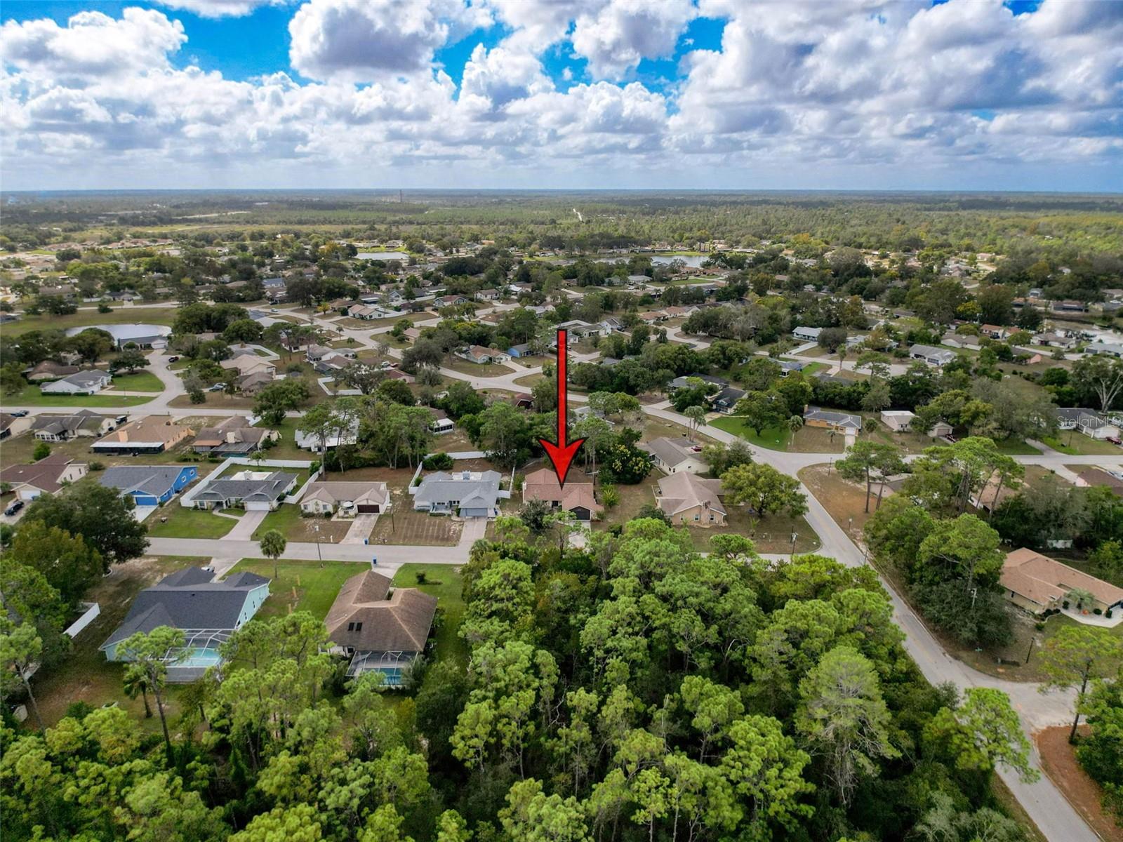 8950 HERNANDO WAY, WEEKI WACHEE, FL, 34613