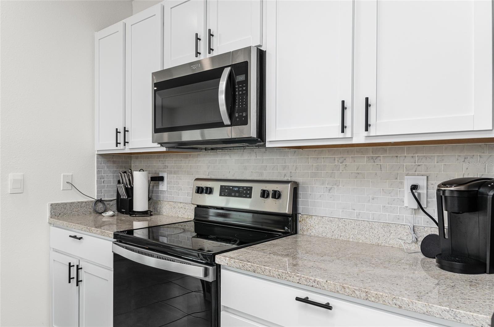 33668 ELM HILL BR, WESLEY CHAPEL, FL, 33545