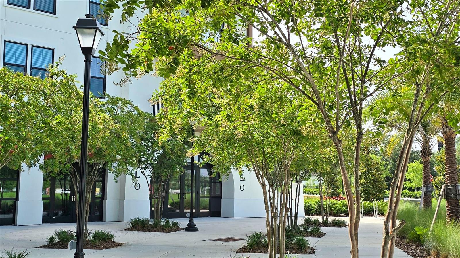 33668 ELM HILL BR, WESLEY CHAPEL, FL, 33545